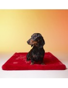Le Tapis PARIS | Tapis pour chien et chat haut de gamme | Rouge glamour