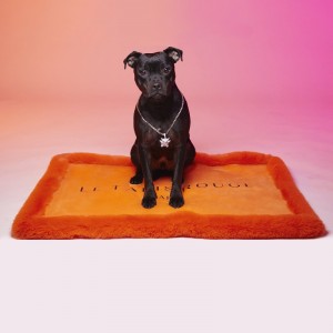 Le Tapis LISSE | Tapis pour chien et chat haut de gamme | Orange lumineux