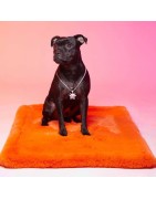 Le Tapis LISSE | Tapis pour chien et chat haut de gamme | Orange lumineux