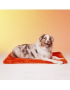Le Tapis LISSE | Tapis pour chien et chat haut de gamme | Orange lumineux
