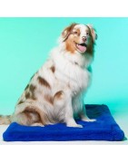 Le Tapis LONDON | Tapis pour chien et chat haut de gamme | Bleu royal