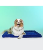Le Tapis LONDON | Tapis pour chien et chat haut de gamme | Bleu royal