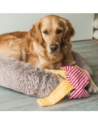 Beeztees | Chien | Peluche de fouille bonbon