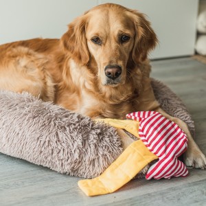 Beeztees | Chien | Peluche de fouille bonbon
