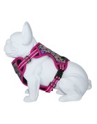 Freedog | Chien | Harnais réfléchissant BORÉAL fushia (rose)