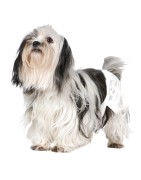 Camon | Chien | Couches jetables