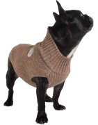 Bobby | Chien | Pull Today Marron