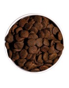 Ownat | Chien |  Croquette Sans Céréales HYPOALLERGENIC à l'Agneau