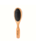 Brosse Carde DOUBLE | ARTERO