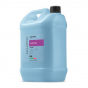 Shampoing REVITALISANT| ARTERO : Contenance :5 L