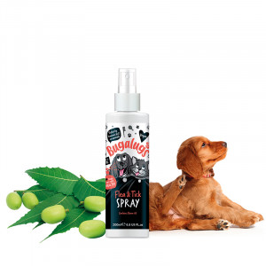 BUGALUGS FLEA & TICK | Spray pour chien et chat