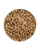 Ownat | Chien | Croquettes AUTHOR JUNIOR FRESH CHICKEN