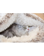 Bulle POILU beige - BOBBY