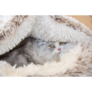 Bulle POILU beige - BOBBY