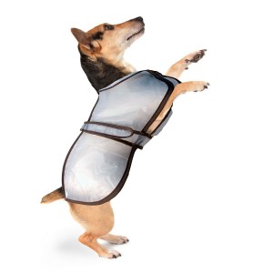 Imperméable pour chien transparent