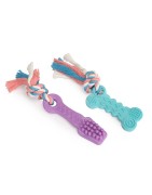 Lot Jouets Brosse à Dents & Os avec Corde TPE pour Chien | Hygiène & Mordillage | 10 cm