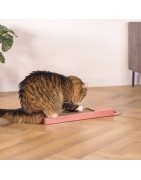 Griffoir Carton Léopard pour Chat | À Poser ou Suspendre | Catnip Inclus | 45 cm