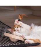 Jouet Bois Winni Designed by Lotte pour Chat | Sisal Plume & Balles | H 30 cm