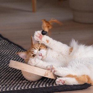 Jouet Bois Winni Designed by Lotte pour Chat | Sisal Plume & Balles | H 30 cm