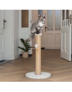 Griffoir Ribbed Velours Côtelé Designed by Lotte | Jute & Balle Plumes | H 70 cm
