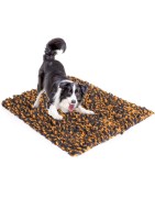 Grand tapis de fouille à renifler GENIUS | Jouet de réflexion chien et chat