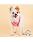 Harnais PUPPIA rose brillant avec fourrure EVON