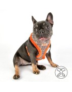 Harnais PUPPIA AUDEN motif pied de poule avec fourrure orange