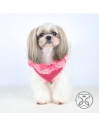 Harnais PUPPIA VIVIEN rose avec volant vichy vintage et frais