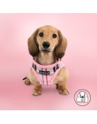 Harnais veste PUPPIA JUNIOR à carreaux rose style anglais