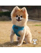 Harnais PUPPIA SOFT bleu ciel ultra confortable pour chien