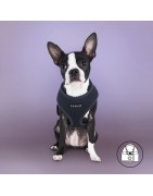 Harnais veste PUPPIA SOFT bleu marine ultra confortable pour chien