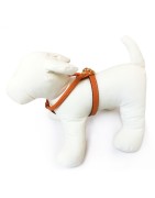 Harnais cuir de veau rond orange pour chien