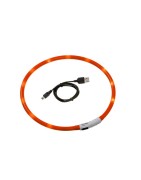Collier Visio Light LED pour chien avec câble USB fourni