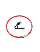 Collier Visio Light LED pour chien avec câble USB fourni
