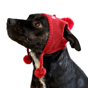Bonnet de Noël pour chien ou chat avec pompon et bonhomme de neige