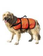 Gilet De Sauvetage Pour Chien Au Meilleur Prix