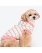 Pinkaholic sweat MAIRE | ROSE