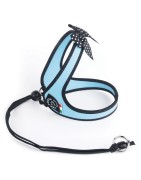 Harnais confort TRE PONTI Fashion pour chien avec cordon | Bleu