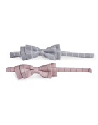 Joli nœud papillon pour chien et chat