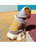 Sweat à capuche "COOL DOG CLUB" Gris | BANDIT