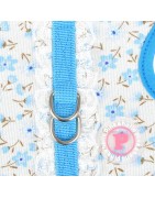 Harnais veste LOBELIA - PINKAHOLIC - Bleu