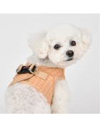 Harnais veste pour petit chien Pinkaholic MILA | Beige