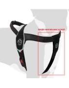 Sangle ventrale Tre ponti pour ajuster parfaitement le harnais Primo