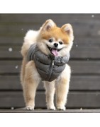 Doudoune Ultralight grise | Puppia
