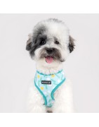 Harnais veste pour chien | PUPPIA FETE | Bleu imprimé festif