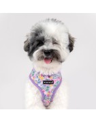 Harnais veste pour chien | PUPPIA LITA | Motif fleur violet