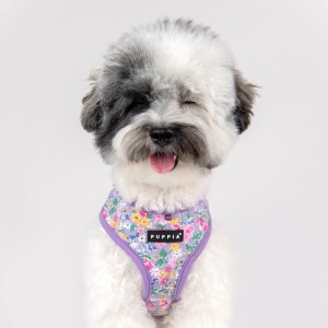Harnais veste pour chien | PUPPIA LITA | Motif fleur violet
