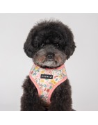 Harnais veste pour chien | PUPPIA LITA | Motif fleur Rose
