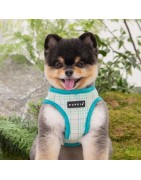 Harnais veste pour chien | PUPPIA LUKE | Motif carreaux Turquoise