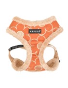 Harnais ajustable pour chien | PUPPIA FLORENT | Orange avec fourrure